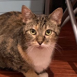 Meet your Posher, Karina